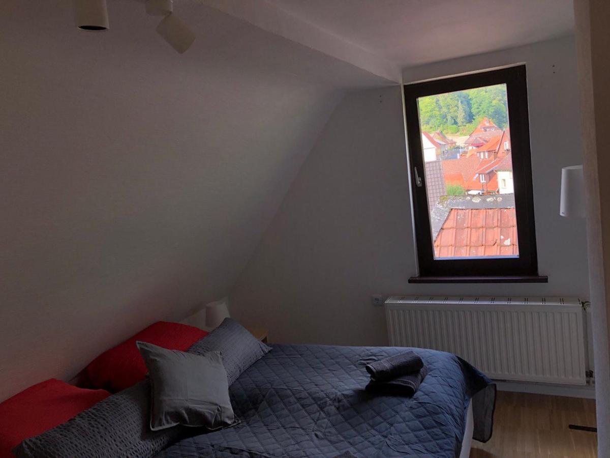 Ferienhaus Art Apartment - Harz Zorge Exterior foto